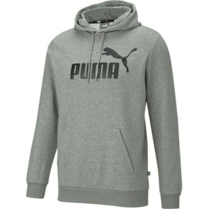 586686 03 Puma hoodie Gray