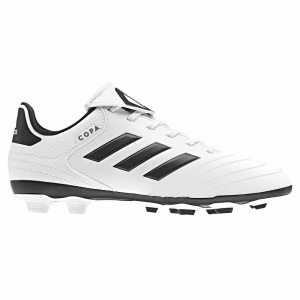 CP9056 Adidas Copa 18.4 FxG J