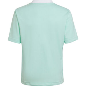 Adidas Entrada 22 JSY Y HC5078 Ciel