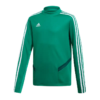 Adidas JR TIRO 19 TR TOP Y DW4800 Green