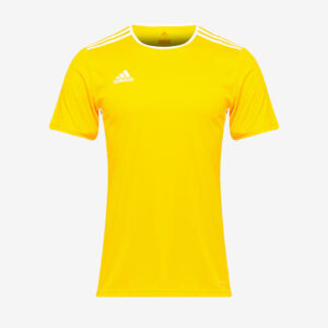 Adidas Entrada 18 JSY CD8390 Yellow