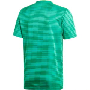 Adidas Condivo 18 JSY Y CF0683 Green