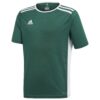 Adidas Entrada 18 JSYY CE9563 Green/White
