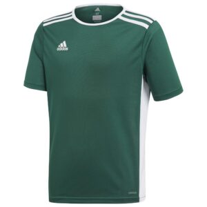 Adidas Entrada 18 JSYY CE9563 Green/White