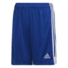Adidas Tastigo 19 SHO DP3686 Royal Blue/White