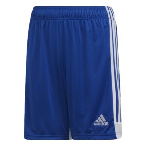 Adidas Tastigo 19 SHO DP3686 Royal Blue/White
