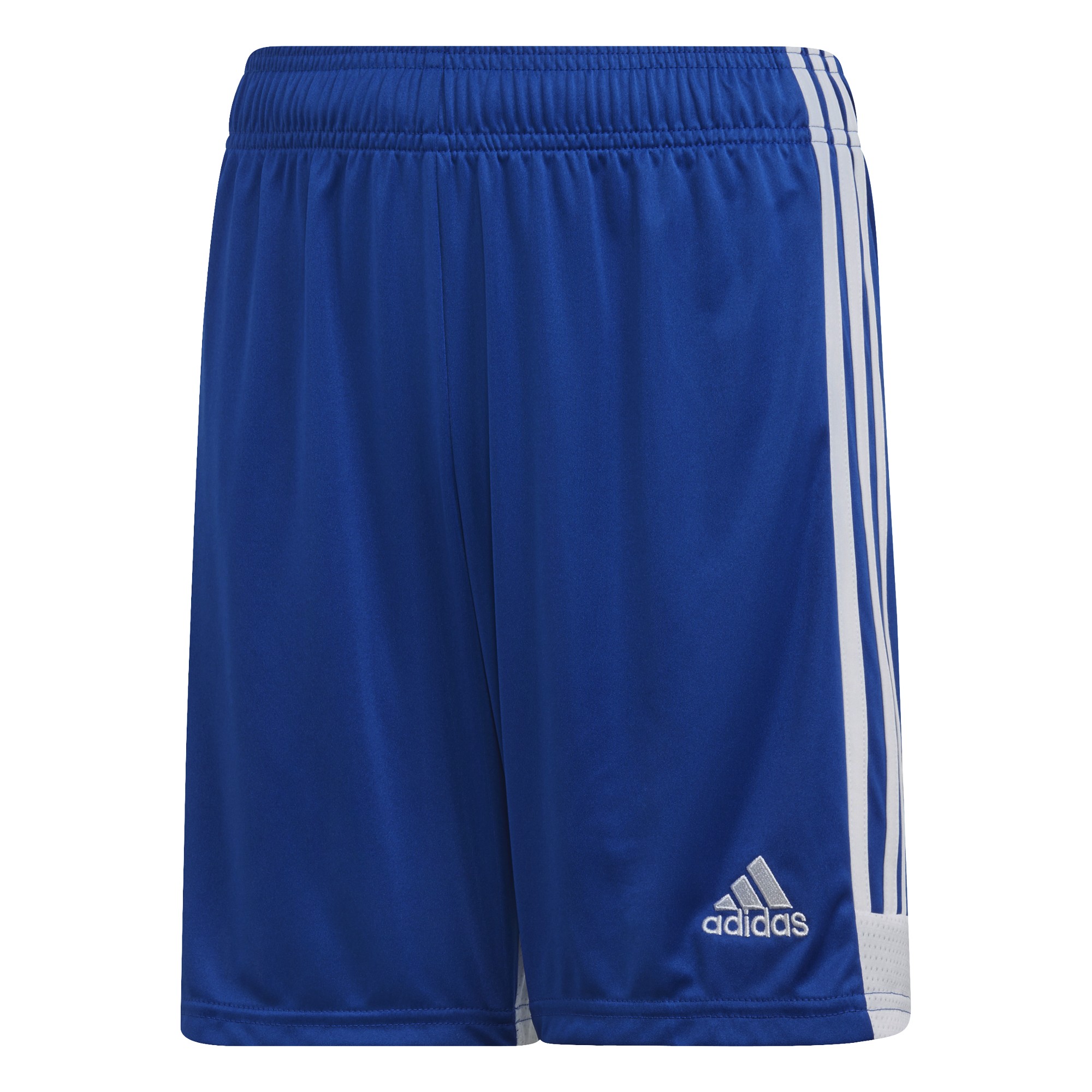 Adidas Tastigo 19 SHO DP3686 Royal Blue/White Adidas Tastigo 19 SHO DP3686 Royal Blue/White