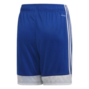 Adidas Tastigo 19 SHO DP3686 Royal Blue/White