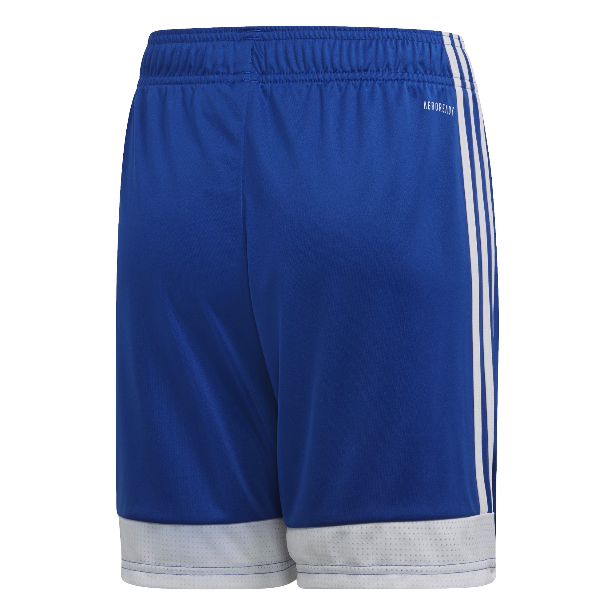 Adidas Tastigo 19 SHO DP3686 Royal Blue/White Adidas Tastigo 19 SHO DP3686 Royal Blue/White