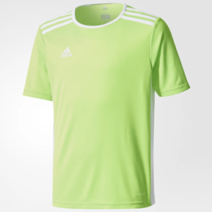 Adidas Entrada 18 JSY Y CE9755 Green
