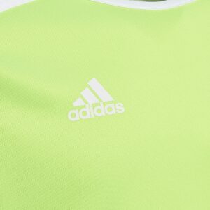 Adidas Entrada 18 JSY Y CE9755 Green