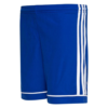 Adidas Squadra 17 SHOY S99153 Blue/White