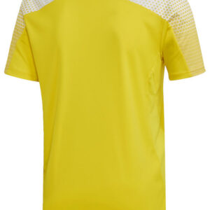 Adidas Regista 20 Aeroready JSY FI4556 Yellow