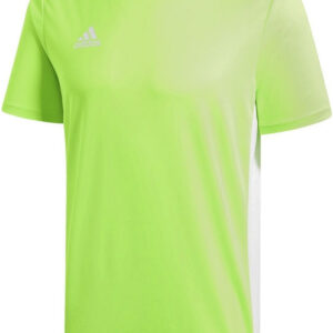 Adidas Entrada 18 JSY JR CE9758 Green/White