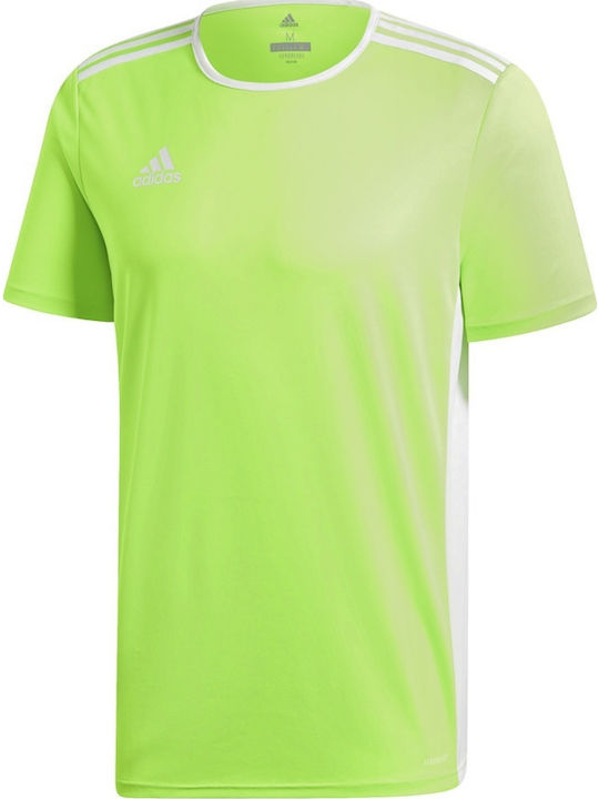 Adidas Entrada 18 JSY JR CE9758 Green/White Adidas Entrada 18 JSY JR CE9758 Green/White