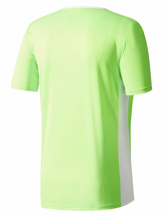 Adidas Entrada 18 JSY JR CE9758 Green/White Adidas Entrada 18 JSY JR CE9758 Green/White