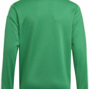 Adidas Squadra 21 TR TOP Y GP6471 Tea Green/White