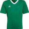 Adidas Entrada 22 JSY Y HI2126 Tea Green/White
