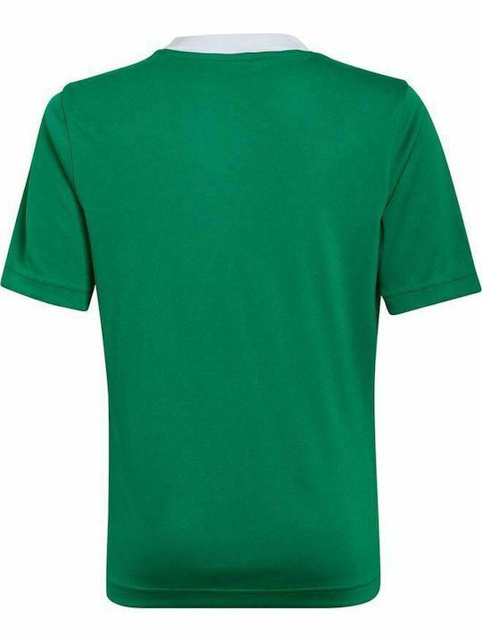 Adidas Entrada 22 JSY Y HI2126 Tea Green/White Adidas Entrada 22 JSY Y HI2126 Tea Green/White