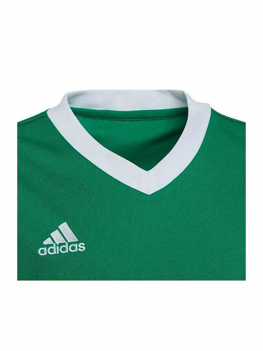 Adidas Entrada 22 JSY Y HI2126 Tea Green/White Adidas Entrada 22 JSY Y HI2126 Tea Green/White