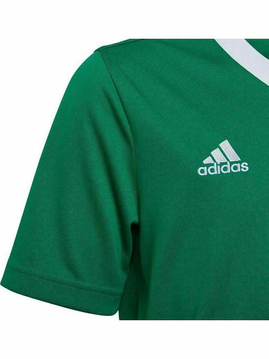 Adidas Entrada 22 JSY Y HI2126 Tea Green/White Adidas Entrada 22 JSY Y HI2126 Tea Green/White