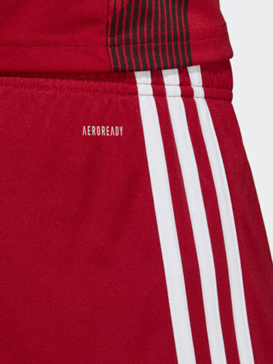 Adidas Tastigo 19 SHO DP3681 Power Red/White Adidas Tastigo 19 SHO DP3681 Power Red/White