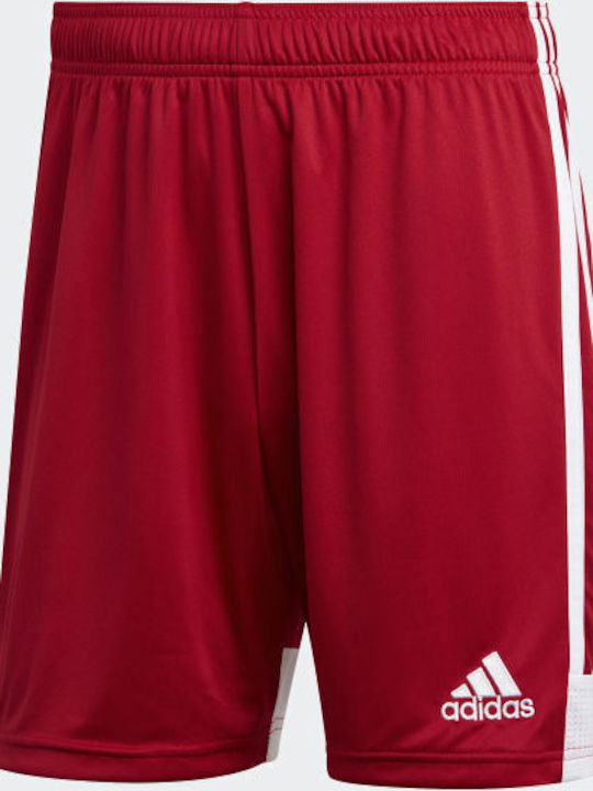 Adidas Tastigo 19 SHO DP3681 Power Red/White Adidas Tastigo 19 SHO DP3681 Power Red/White