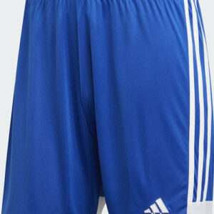 Adidas Tastigo 19 SHO DP3682 Royal Blue/White Adidas Tastigo 19 SHO DP3682 Royal Blue/White