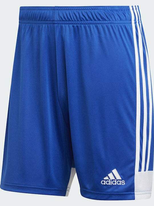 Adidas Tastigo 19 SHO DP3682 Royal Blue/White Adidas Tastigo 19 SHO DP3682 Royal Blue/White