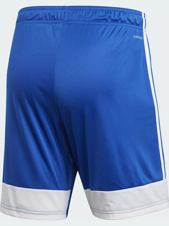 Adidas Tastigo 19 SHO DP3682 Royal Blue/White Adidas Tastigo 19 SHO DP3682 Royal Blue/White