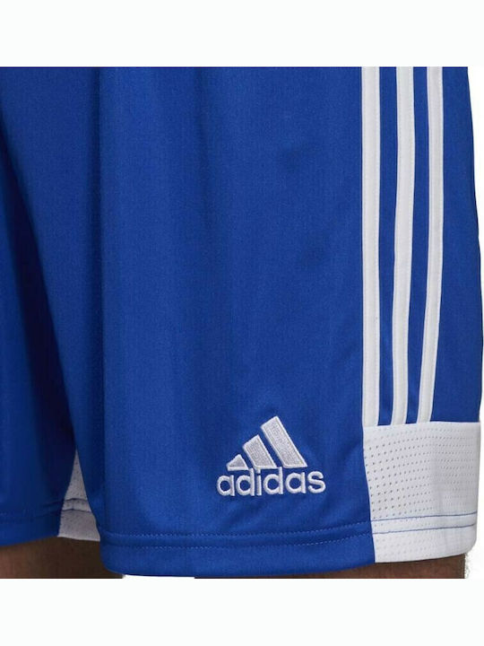 Adidas Tastigo 19 SHO DP3682 Royal Blue/White Adidas Tastigo 19 SHO DP3682 Royal Blue/White