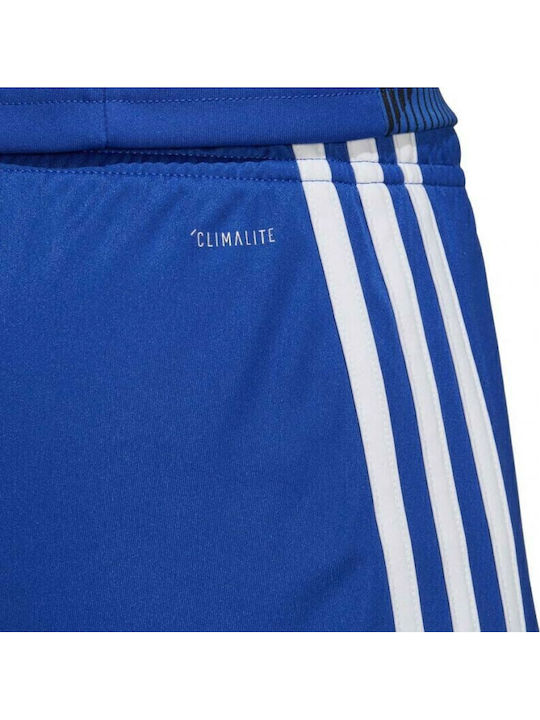 Adidas Tastigo 19 SHO DP3682 Royal Blue/White Adidas Tastigo 19 SHO DP3682 Royal Blue/White