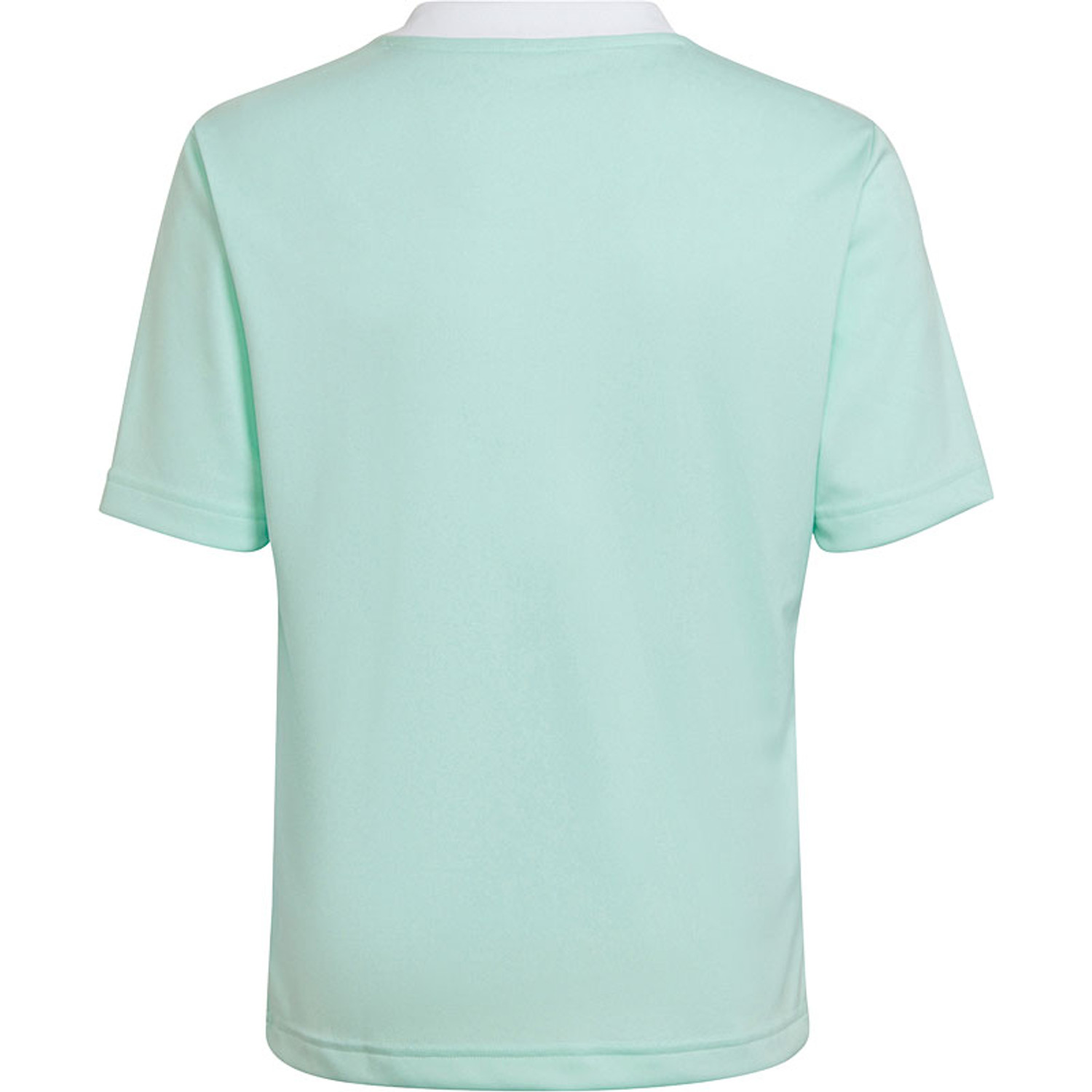 Adidas Entrada 22 JSY Y HC5078 Ciel