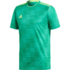 Adidas Condivo 18 JSY Y CF0683 Green