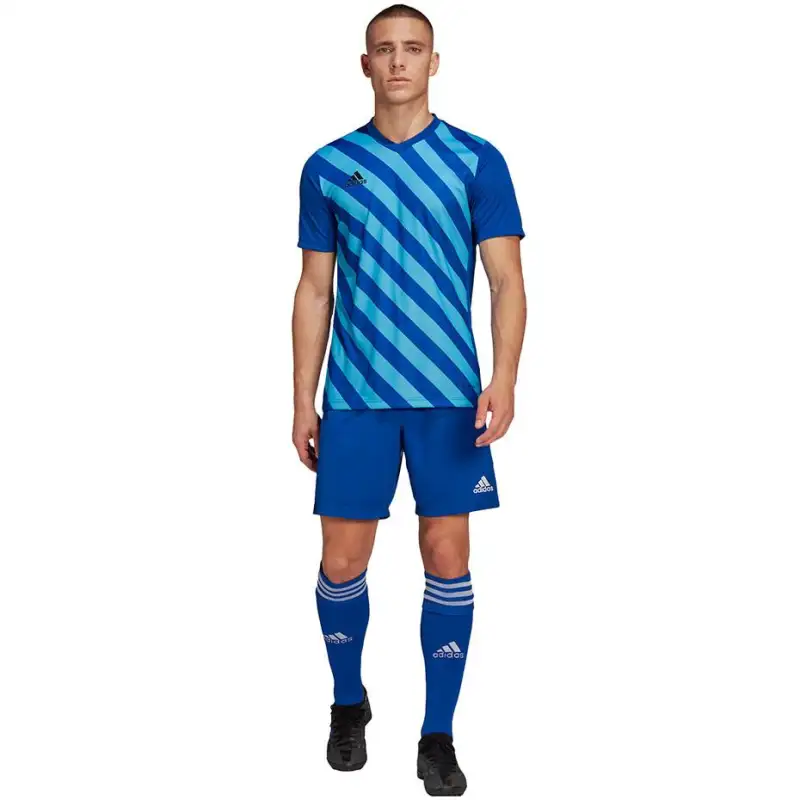 Adidas Entrada 22 GFX JSY HF0116 Blue