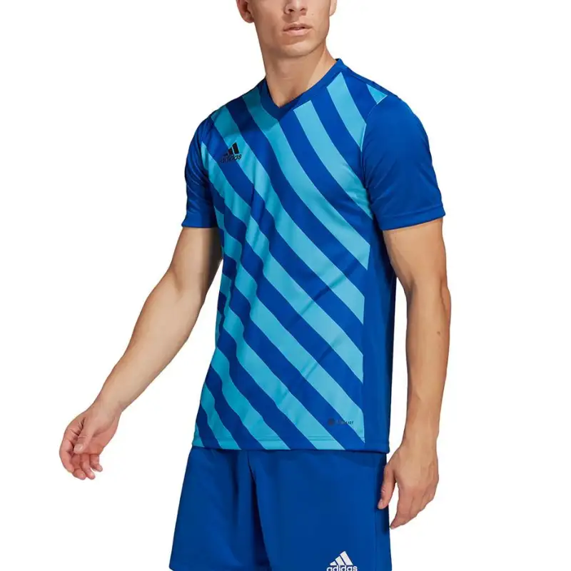 Adidas Entrada 22 GFX JSY HF0116 Blue