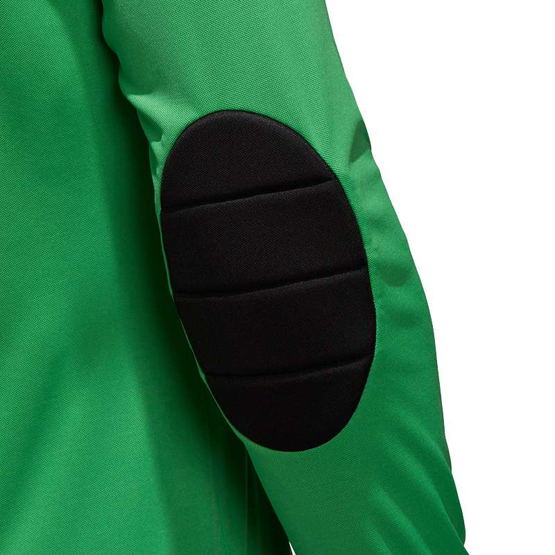 Adidas Assita 17 Goalkeeper Jersey  AZ5400 Green