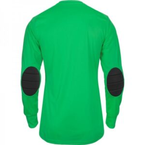 Adidas Assita 17 Goalkeeper Jersey AZ5400 Green