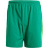 Adidas Condivo 18 SHO JR CF0713 Green