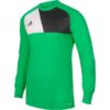 Adidas Assita 17 Goalkeeper Jersey JR AZ5400 Green