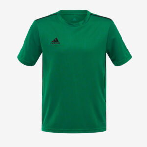 Adidas Core 18 JSY Y CV3498 Deep Green/Black