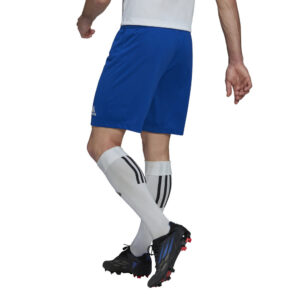 Adidas Entrada 22 SHOY HG6294 Royal Blue