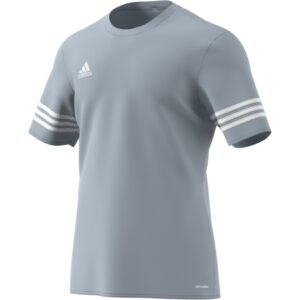 Adidas Entrada 14 JSY F50493 Silver