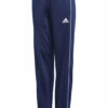 Adidas Core 18 PES PNTY CV3586 Blue