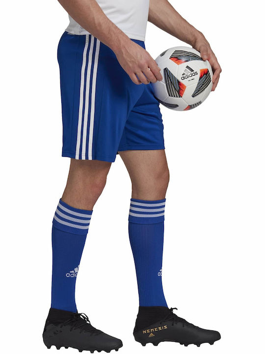 Adidas Squadra 21 SHO GK9153 Royal Blue/White Adidas Squadra 21 SHO GK9153 Royal Blue/White