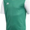 Adidas Estro 19 JSYΥ DP3216 Green/White