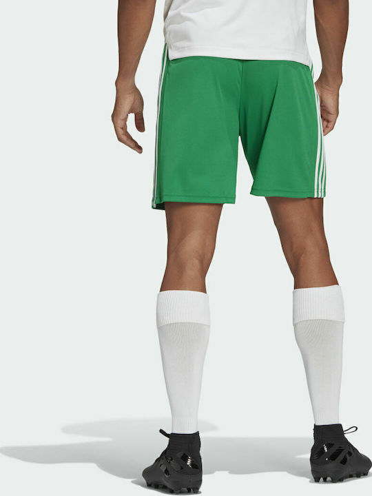 Adidas Squadra 21 SHO GN5769 Tea Green/White Adidas Squadra 21 SHO GN5769 Tea Green/White