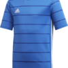 Adidas Campeon 21 JSY Y FT6758 Royal Blue