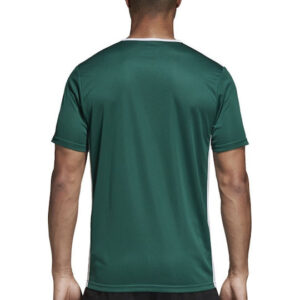 Adidas Entrada 18 JSY CD8358 Green