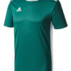 Adidas Entrada 18 JSY CD8358 Green